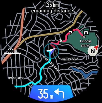 GPS smartwatch
