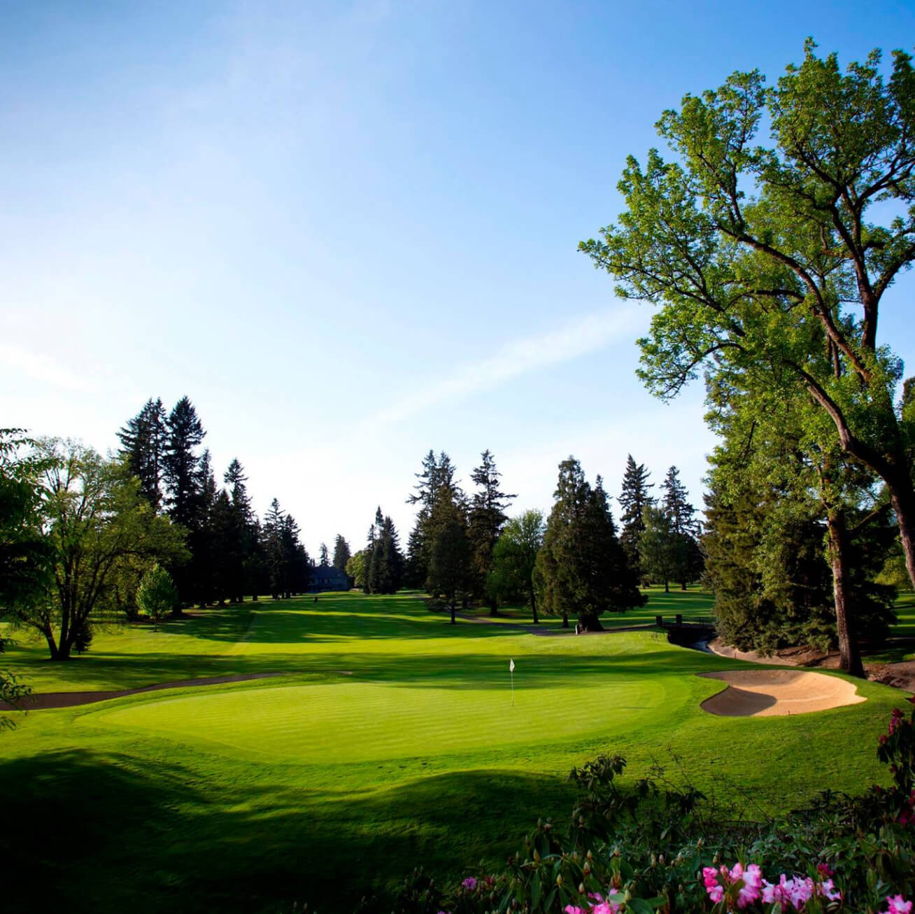 Course preview